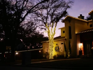 How to Choose a Holiday Lighting Installer in Austin, TX?