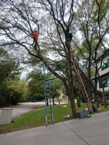 Professional Holiday Light Installation​ in Austin, TX