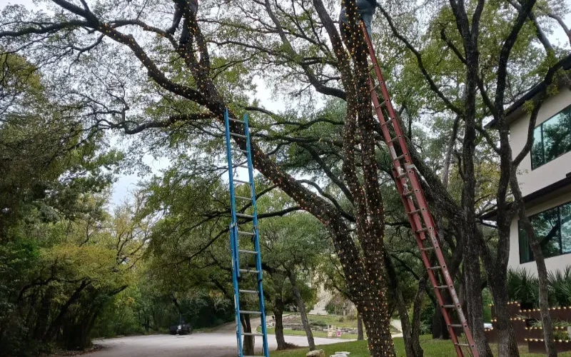 Austin Christmas Light Installers​