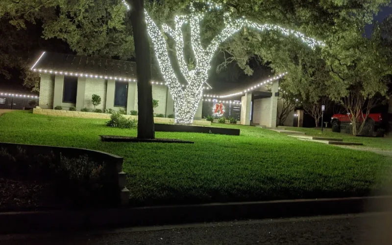 Best Time To Aerate Lawn In Austin, TX