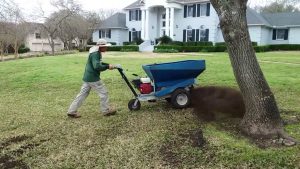 Lawn Aeration and Seeding Services In Austin, TX Lawn Aeration and Seeding Services In Austin, TX