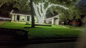Holiday Lighting Design Austin